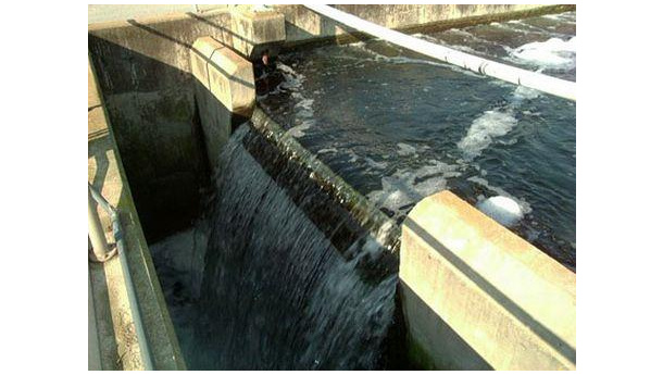 Immagine: Nuovo inceneritore Settimo. Smaltimento dei fanghi Smat, Legambiente: