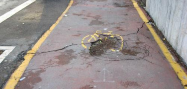 Cicloamici di Foggia: 