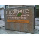 Immagine: Vendola e Nicastro a Bruxelles per presentare Mediterre 2012