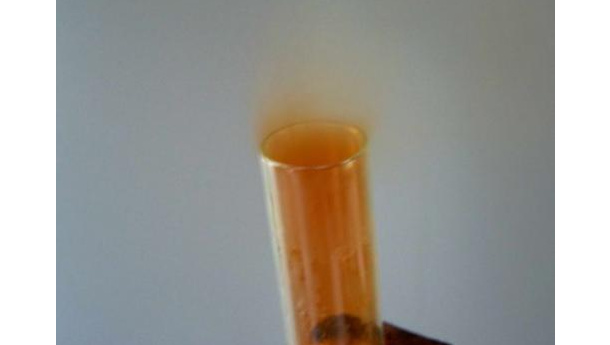 Immagine: Biossido d'azoto, nuovo sforamento: Lavolta convoca assessori e commercianti