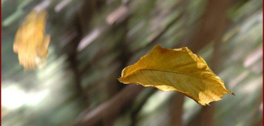 Torino, si alza il vento e cala lo smog, ma il confronto con il 2010 dovrebbe allarmare