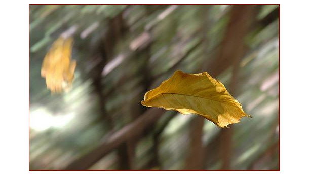 Immagine: Torino, si alza il vento e cala lo smog, ma il confronto con il 2010 dovrebbe allarmare
