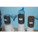 Immagine: Il progetto P.r.i.m.e. arriva nelle scuole pugliesi. La Posidonia spiaggiata: da rifiuto a risorsa