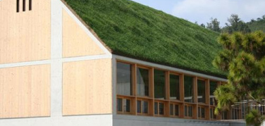 Tetti verdi (o bianchi) contro l'isola di calore urbana