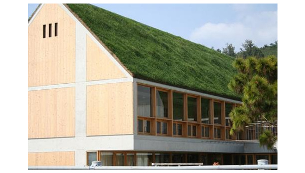 Immagine: Tetti verdi (o bianchi) contro l'isola di calore urbana