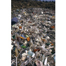 Immagine: L'Associazione ContrOnda torna a Orte con il progetto Risorsa Mare