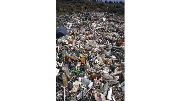 Immagine: L'Associazione ContrOnda torna a Orte con il progetto Risorsa Mare