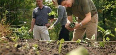 Campagna Amica: un personal trainer per imparare a coltivare l'orto