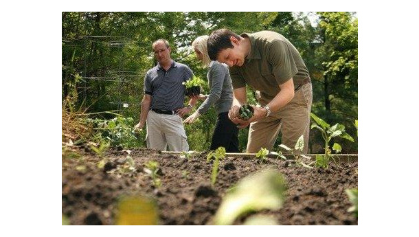 Immagine: Campagna Amica: un personal trainer per imparare a coltivare l'orto