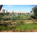 Immagine: Torino: orti urbani contro il degrado e il consumo di territorio