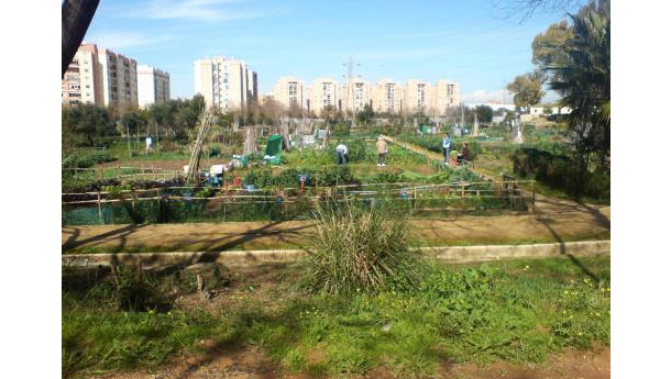 Immagine: Torino: orti urbani contro il degrado e il consumo di territorio
