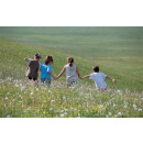 Immagine: A Roma due progetti delle scuole e Municipi premiati nell'ambito della Serr