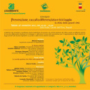 Immagine: Legambiente: raccolta differenziata al 70%, è possibile anche nelle grandi città