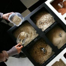 Immagine: “Sballati e Compost-i!”, si apre l'elenco dei negozi che riducono i rifiuti