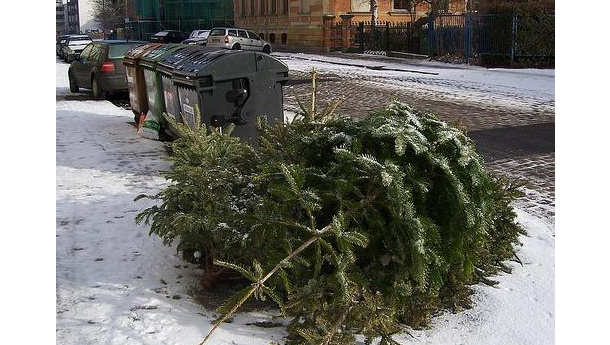 Immagine: Comune di Torino: 