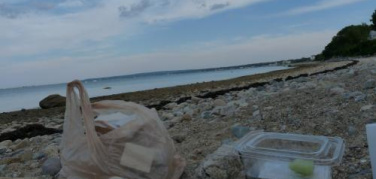 Sacchetti di plastica: 