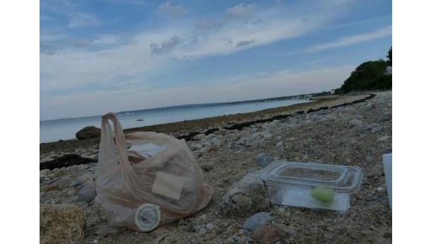 Immagine: Sacchetti di plastica: 