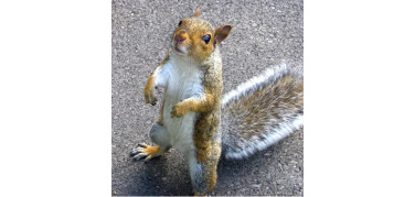 Londra: “Nel 2012 gli occhi del mondo saranno su di noi”. E purtroppo anche i nasi