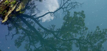 Provincia di firenze, Camminare nel verde