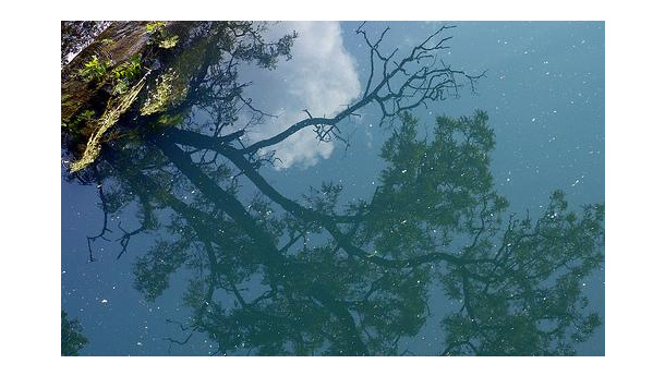 Immagine: Provincia di firenze, Camminare nel verde