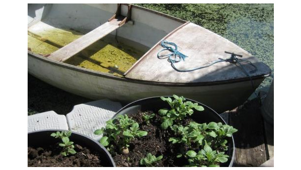 Immagine: “Chug”, a Londra gli orti urbani diventano galleggianti