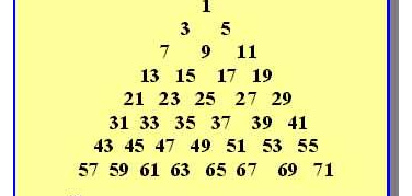 Roma: lunedì 16 gennaio si fermano le targhe dispari