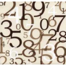 Immagine: A Roma scattano le targhe alterne, martedì 17 stop alle pari