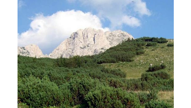 Immagine: Foggia: al via dal 23 gennaio la “Settimana della sostenibilità”