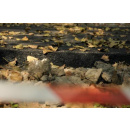 Immagine: Lungo Po Antonelli: addio all'asfalto, la ciclabile verrà realizzata con materiali ecocompatibili