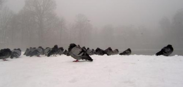 Blocco Euro3 del giovedì: revocato per neve a Parma, Modena, Reggio Emilia, Forlì, Rimini e Imola