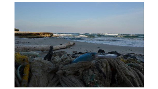 Immagine: Associazione ContrOnda, progetto “Risorsa Mare”: i risultati della terza giornata