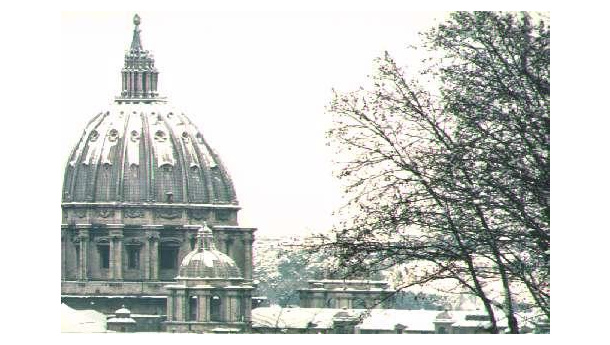 Immagine: Roma, i presidi ad Alemanno: «Situazione pericolosa. Modifichi l'ordinanza e chiuda le scuole»