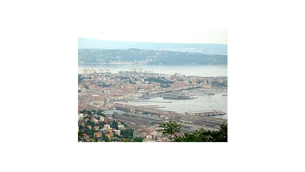 Immagine: Trieste: il Comune sostiene il progetto “Urbi et horti”