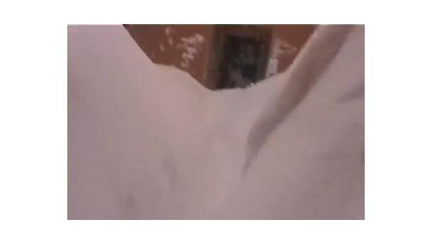 Immagine: Urbino, a scavare ci sono gli universitari: cosa succede “quando non vedi più le porte delle case”