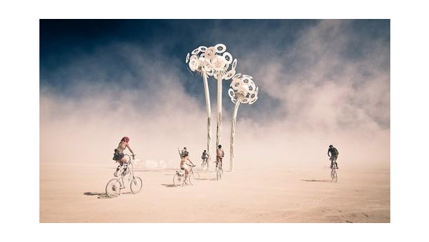 Immagine: Caro Isfort, ma come è possibile che gli spostamenti in bici e a piedi siano in calo da dieci anni?