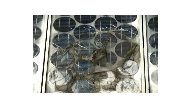 Immagine: Pannelli solari, riciclo obbligatorio dal 30 giugno 2012