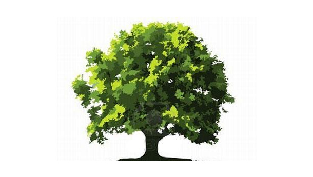 Immagine: Progetto Gaia, 3.000 alberi per purificare l'aria di Bologna