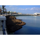 Immagine: Da posidonia spiaggiata a compost di qualità. La Puglia diventa un “case history” al Senato