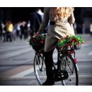 Immagine: FIAB: “Non confondiamo i ciclisti agonisti con quelli di tutti i giorni”