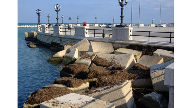 Immagine: Ulteriori prospettive per il recupero della posidonia spiaggiata