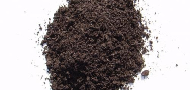 Consumo di suolo: quante nuove case spuntano se si costruisce una strada?