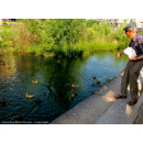 Immagine: Darsena: rischio demolizione per l'oasi. Nel progetto la vegetazione spontanea sparisce, ma il dibattito continua