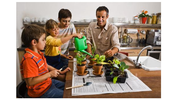 Immagine: Coltivare ortaggi sul balcone? Legambiente insegna come si fa
