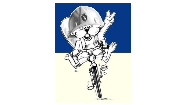 Immagine: Riattivato il servizio di noleggio bici nei parchi comunali