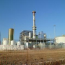 Immagine: Legambiente Foggia: troppe centrali a biomassa e inceneritori in provincia