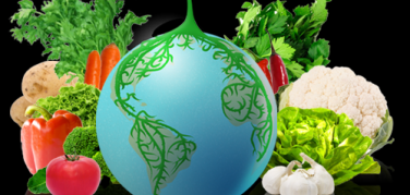 Grow the planet, un social network aiuta a coltivare il proprio orto