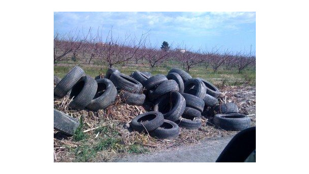 Immagine: Pneumatici Fuori Uso. A Corato (Bari) iniziativa di informazione sul trattamento e recupero