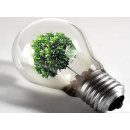 Immagine: Efficienza energetica, i dati sui Certificati bianchi per il secondo semestre 2011