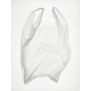 Immagine: Assobioplastiche: 