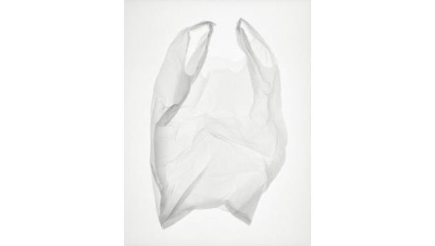 Immagine: Assobioplastiche: